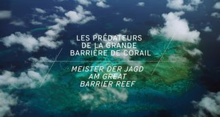 Meister der Jagd am Great Barrier Reef Meister der Jagd am Great Barrier Reef