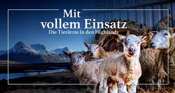 Mit vollem Einsatz – Die Tierärzte in den Highlands – Bild: Daisybeck Studios Mit vollem Einsatz – Die Tierärzte in den Highlands – Bild: Daisybeck Studios