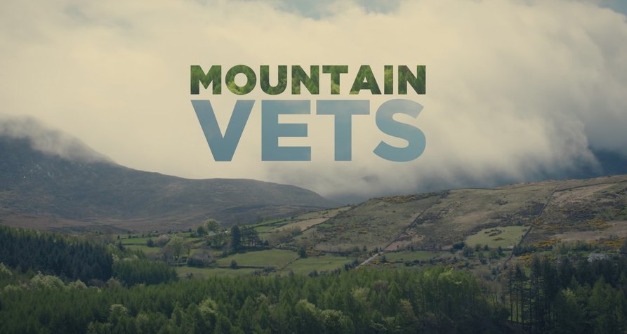 Mountain Vets: Einsatz in Nordirland – Bild: 360 Production/BBC/Northern Ireland Screen/Invest Northern Ireland