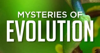 Mysterien der Evolution
