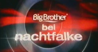 Nachtfalke Nachtfalke