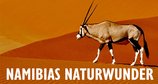Namibias Naturwunder – Bild: arte/NDR/Zorillafilm/Jens Westphalen/Thoralf Grospitz
