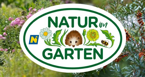 Natur im Garten – Bild: ORF/Alexander Haiden