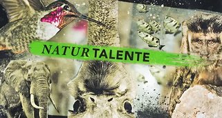 NaturTalente