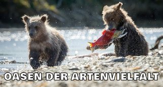 Oasen der Artenvielfalt Oasen der Artenvielfalt