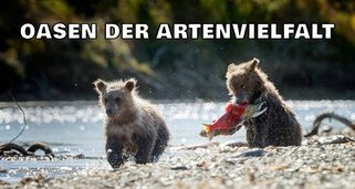 Oasen der Artenvielfalt