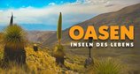 Oasen: Inseln des Lebens – Bild: arte & K22film-Daniela Pulverer Oasen: Inseln des Lebens – Bild: arte & K22film-Daniela Pulverer