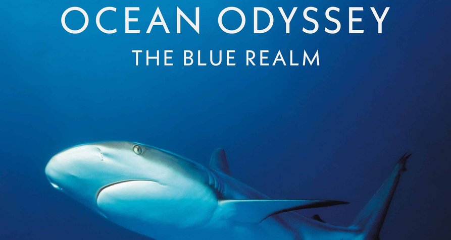 Ocean Odyssey: The Blue Realm – Bild: Amazon Prime Video Ocean Odyssey: The Blue Realm – Bild: Amazon Prime Video
