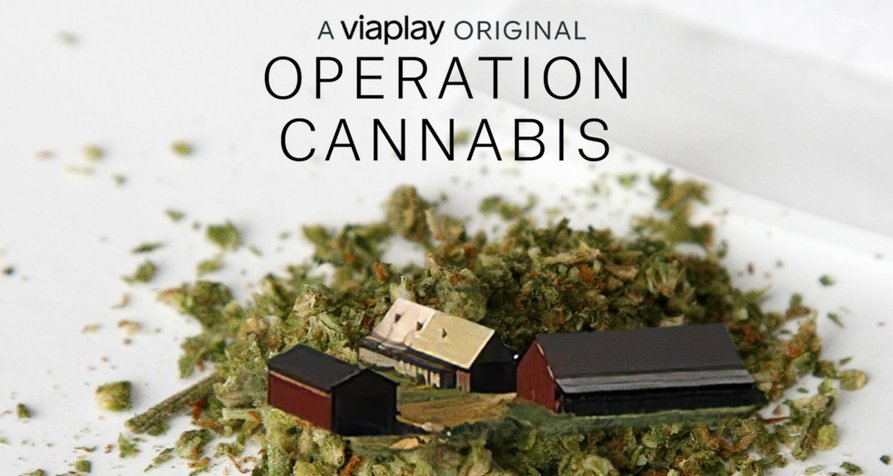 Operation Cannabis – Bild: Viaplay