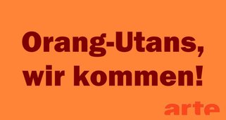 Orang-Utans, wir kommen! Orang-Utans, wir kommen!