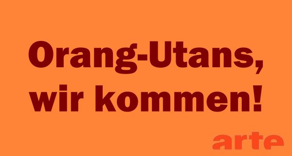 Orang-Utans, wir kommen! – Bild: arte Orang-Utans, wir kommen! – Bild: arte