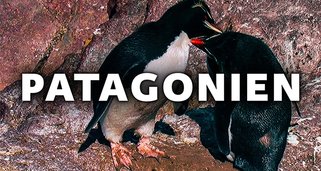 Patagonien – Auf den Spuren von Charles Darwin