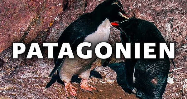 Patagonien – Auf den Spuren von Charles Darwin – Bild: NewKSM Patagonien – Auf den Spuren von Charles Darwin – Bild: NewKSM