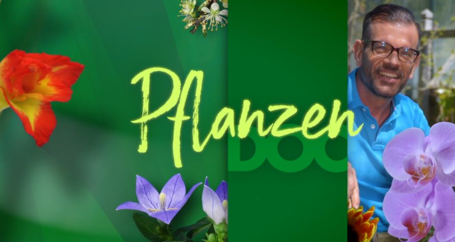 Pflanzendoc – Bild: ORF/Allfilm
