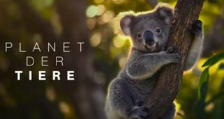 Planet der Tiere