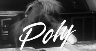 Poly