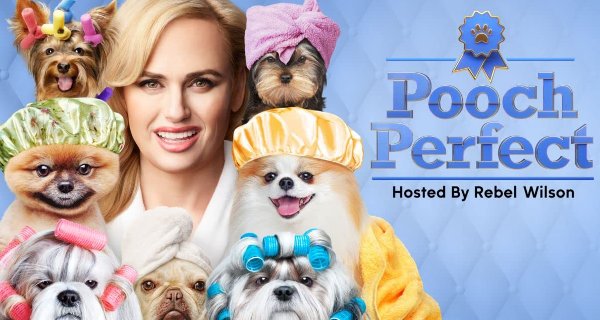 Pooch Perfect USA – Bild: Beyond Media Pooch Perfect USA – Bild: Beyond Media