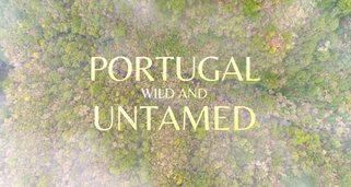 Portugal – wild und ungezähmt