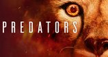 Predators - Jäger in Gefahr – Bild: True to Nature/Sky Studios/Netflix