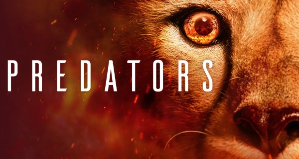 Predators – Jäger in Gefahr – Bild: True to Nature/Sky Studios/Netflix Predators – Jäger in Gefahr – Bild: True to Nature/Sky Studios/Netflix