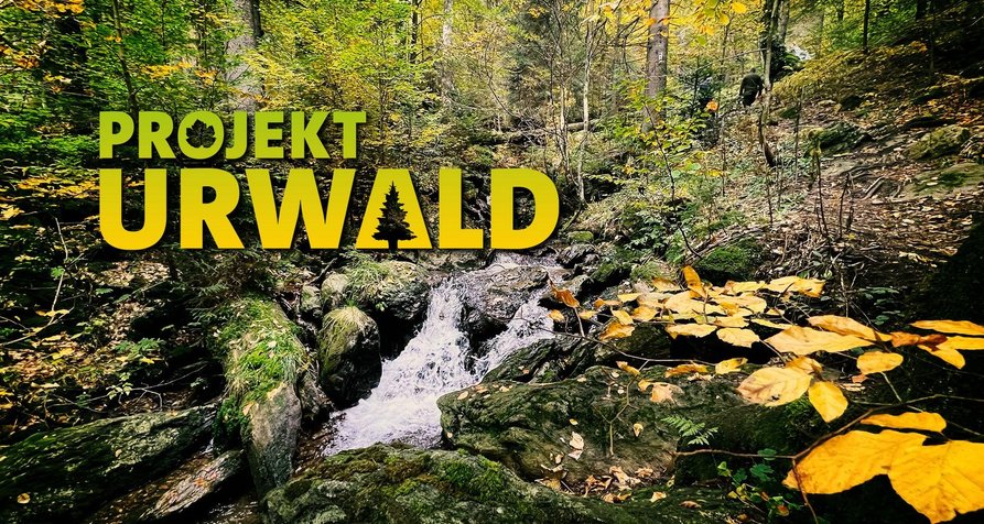 Projekt Urwald: Das umkämpfte Paradies – Bild: BR Projekt Urwald: Das umkämpfte Paradies – Bild: BR