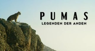 Pumas – Legenden der Anden