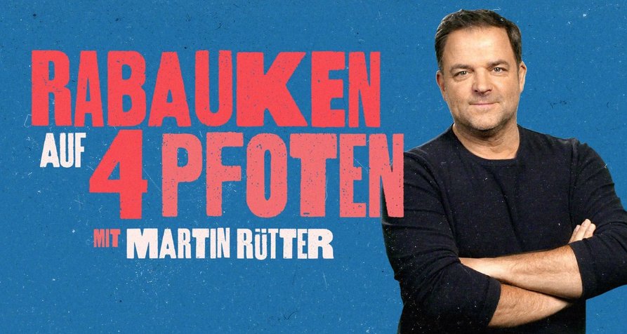 Rabauken auf 4 Pfoten – Mit Martin Rütter – Bild: RTL