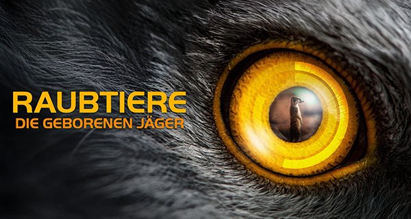 Raubtiere – Die geborenen Jäger – Bild: ntv/Wildbear Entertainment