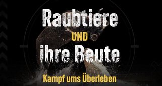 Raubtiere und ihre Beute, Kampf ums Überleben