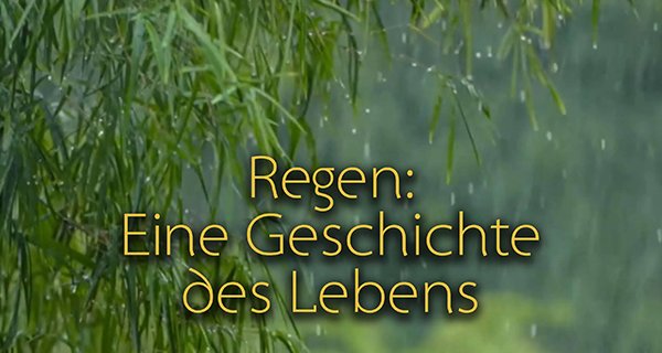 Regen: Eine Geschichte des Lebens – Bild: arte Regen: Eine Geschichte des Lebens – Bild: arte