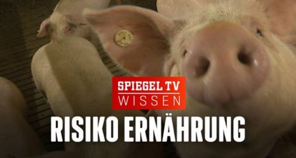 Risiko Ernährung – Bild: Spiegel TV GmbH