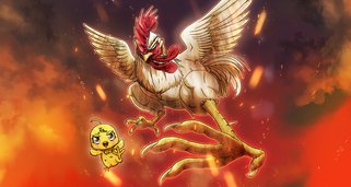 Rooster Fighter