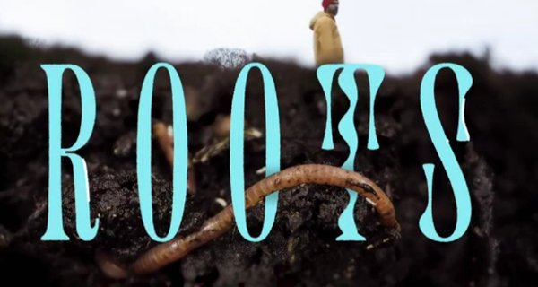 Roots – Bild: arte/SR Roots – Bild: arte/SR