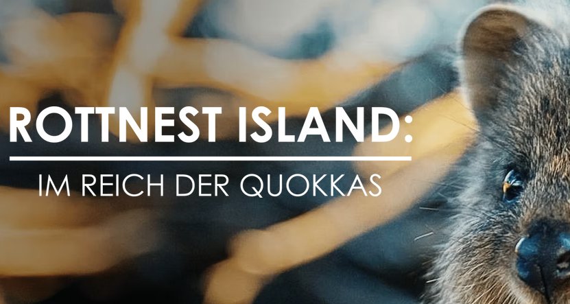 Rottnest Island: Im Reich der Quokkas – Bild: RTL/Sea Dog TV International Pty Ltd. Rottnest Island: Im Reich der Quokkas – Bild: RTL/Sea Dog TV International Pty Ltd.