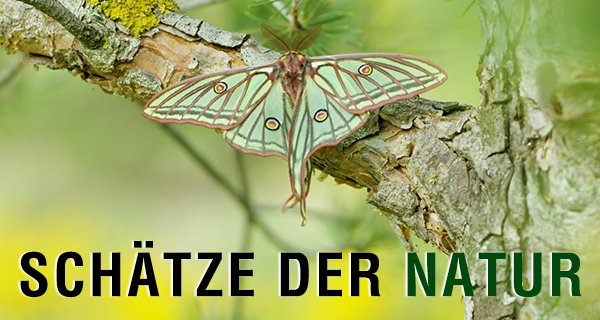 Schätze der Natur – Bild: Avis Producciones