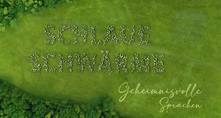 Schlaue Schwärme