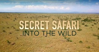 Secret Safari: Into the Wild Secret Safari: Into the Wild