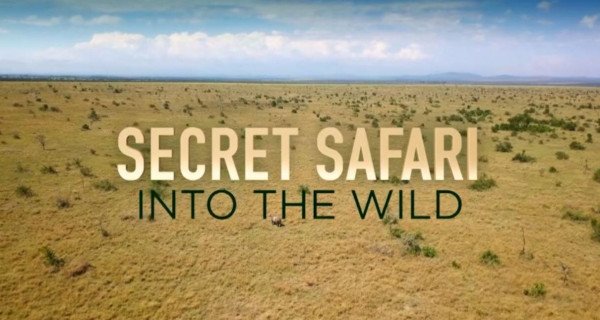 Secret Safari: Into the Wild – Bild: Blast! Films / Channel 4 Television