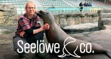 Seelöwe & Co. - tierisch beliebt – Bild: NDR/Doclights 2021