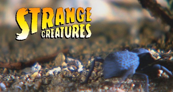 Seltsame Kreaturen – Bild: Blue Ant Media/Screenshot