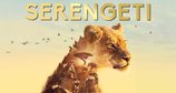 Serengeti – Bild: ZDF/BBC