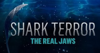 Shark Terror – Angriff des Weißen Hais