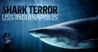 Shark Terror – Verloren auf hoher See