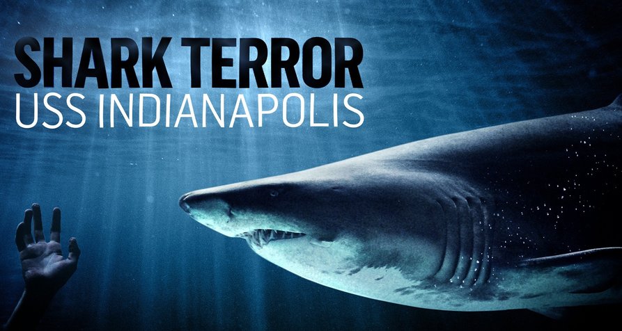 Shark Terror – Verloren auf hoher See – Bild: History Shark Terror – Verloren auf hoher See – Bild: History