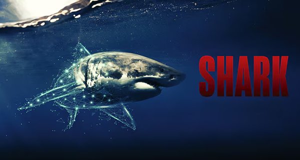 Sharks – Gefürchtete Räuber – Bild: Channel 5 / Crackit Productions / GroupM Motion Entertainment.