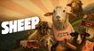 Sheep – Bild: ZDF/Horse&Fruits Filmproduktion Sheep – Bild: ZDF/Horse&Fruits Filmproduktion
