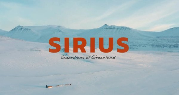 Sirius – Die Wächter von Grönland – Bild: DR / Impact TV