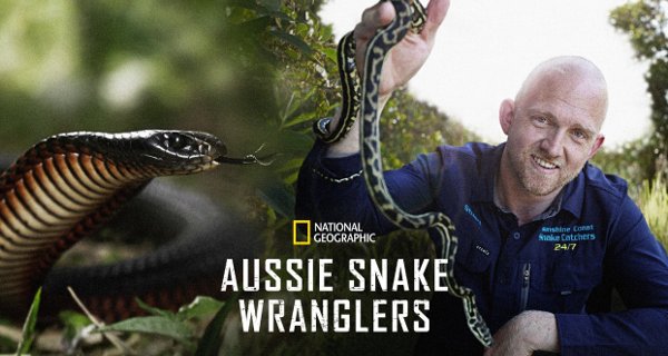 Snake Security – Bild: National Geographic Snake Security – Bild: National Geographic