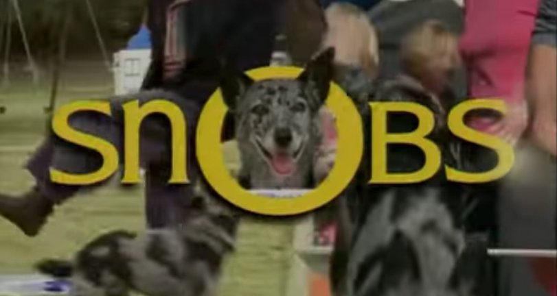 Snobs – Bild: Nine Network Snobs – Bild: Nine Network