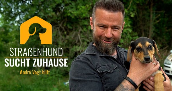 Straßenhund sucht Zuhause – Bild: Sat.1 Gold/4dogs media GmbH Straßenhund sucht Zuhause – Bild: Sat.1 Gold/4dogs media GmbH